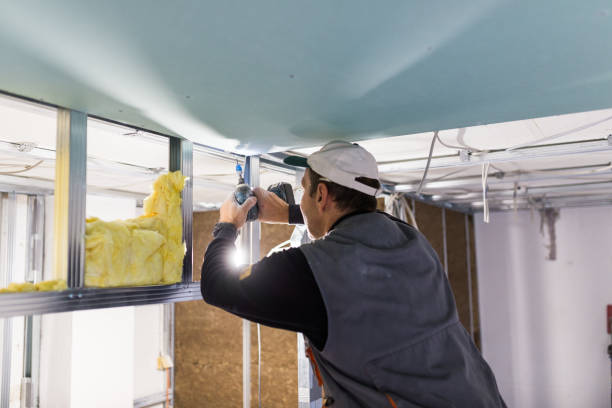 Best Blown-in Insulation  in Stony Point, NC