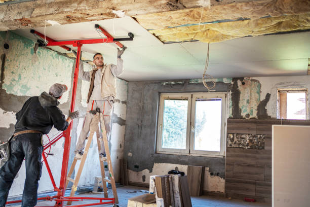 Best Insulation Contractors for Homes  in Stony Point, NC