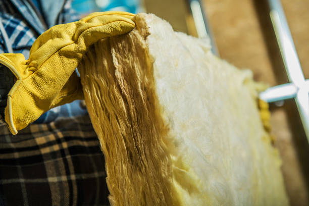 Best Insulation Repair Services  in Stony Point, NC