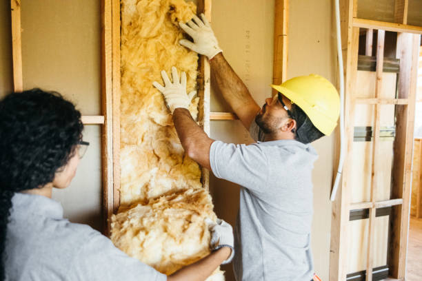 Insulation Replacement Services in Stony Point, NC